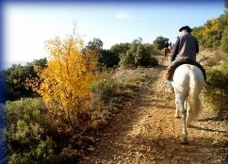  En el caminos con La Provence a Cheval